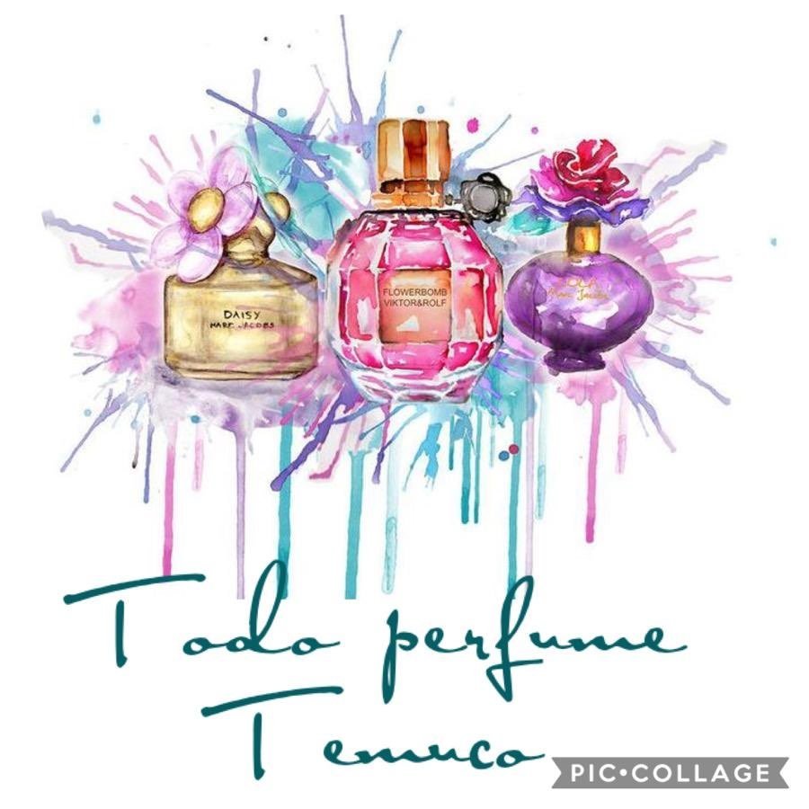 Todo Perfume Temuco