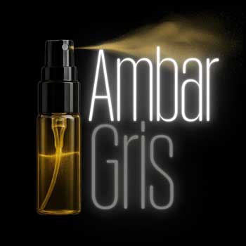 AmbarGris Decants